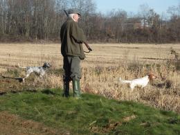 addestramento cani con sparo